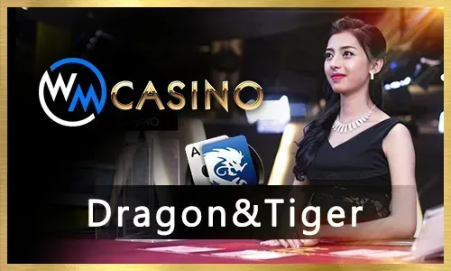 Bingo Mobile App